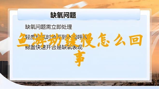 紅龍魚游動緩慢有哪些癥狀