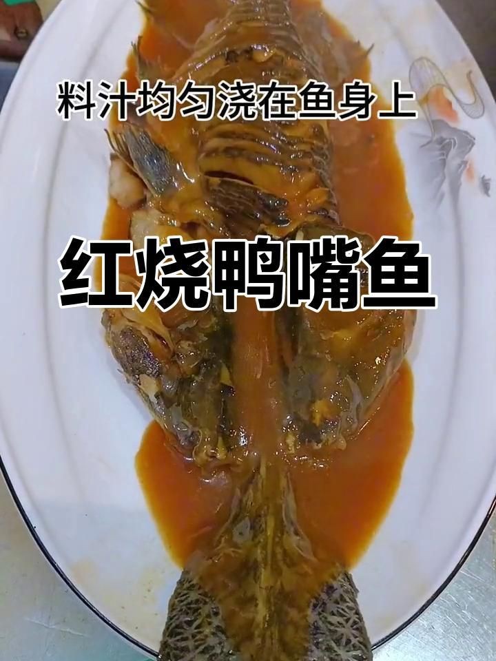 紅燒鴨嘴魚怎么做好吃視頻