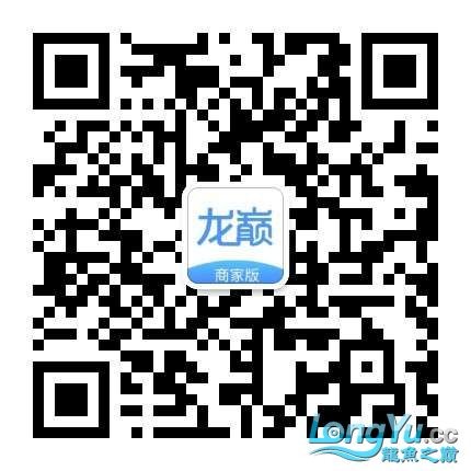 全國人氣門店評選雙管齊下燃爆寒冬