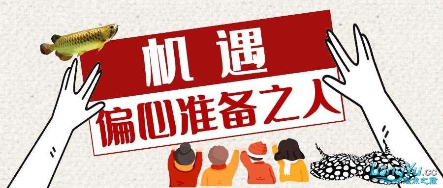 全國人氣門店評選雙管齊下燃爆寒冬
