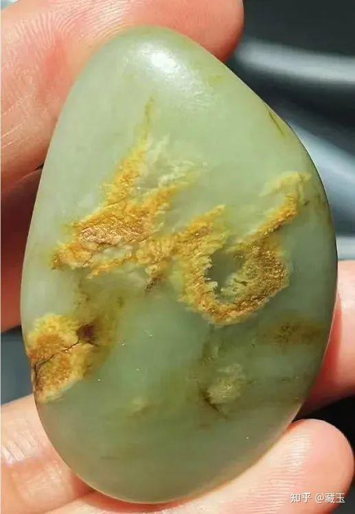紅眼白子招財龍價格
