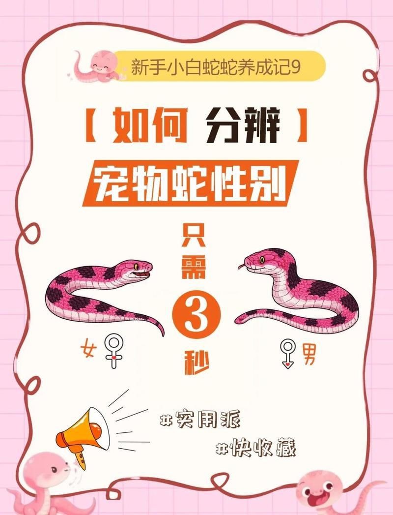 紅線黑影道人公母區別