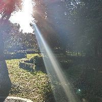 紅線黑影道人公母區別