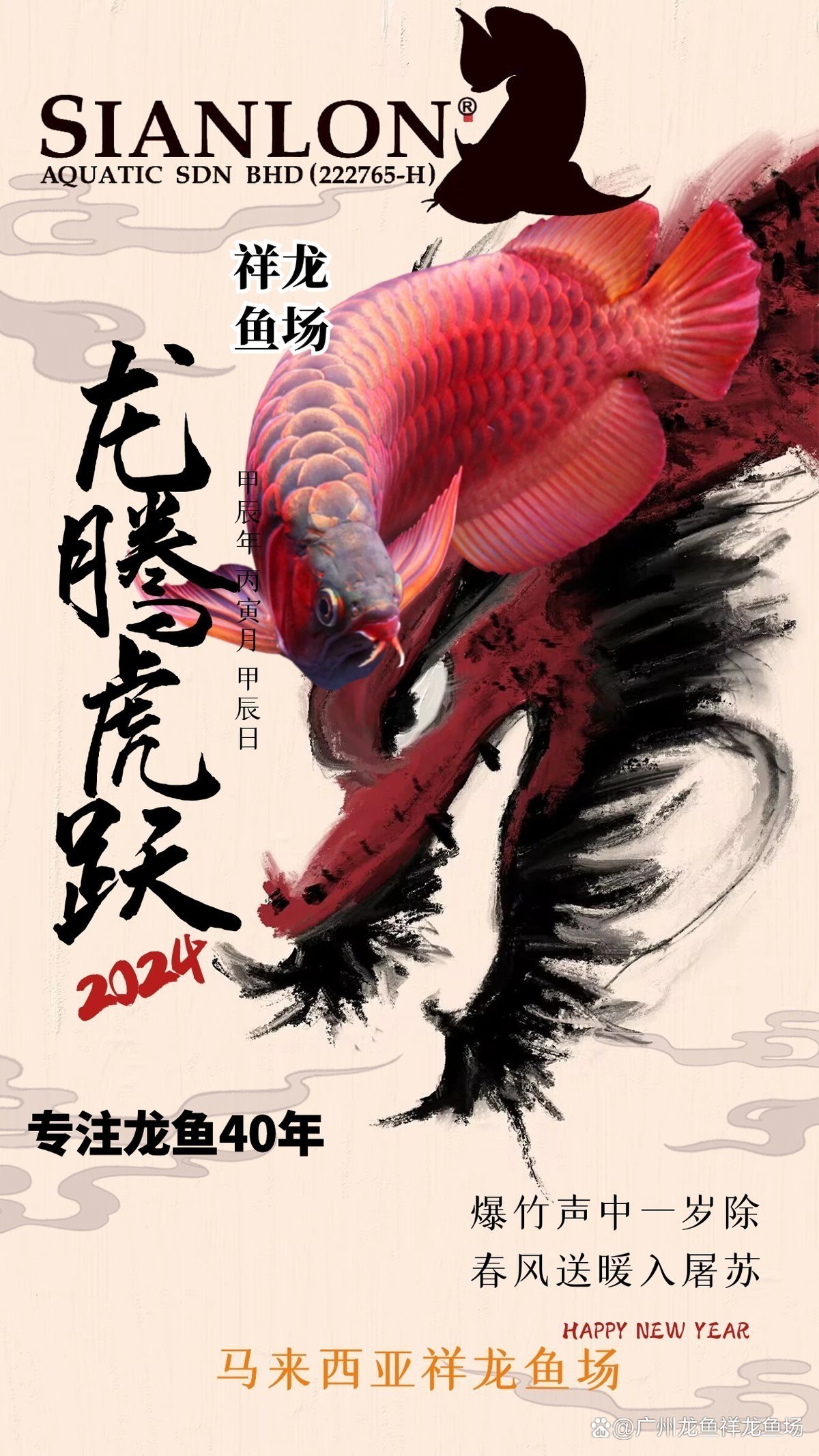 中國龍魚壁紙