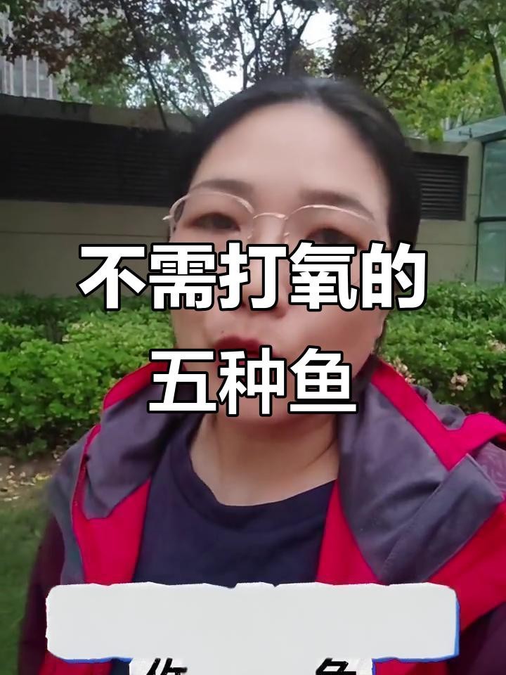 1.2米魚缸養什么魚好打理呢