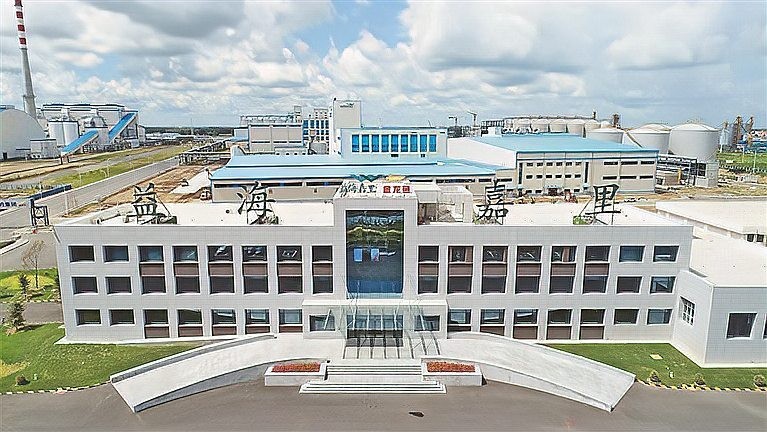 龍魚鱗爛病能自愈嗎，如何判斷金魚炸鱗是否嚴重？