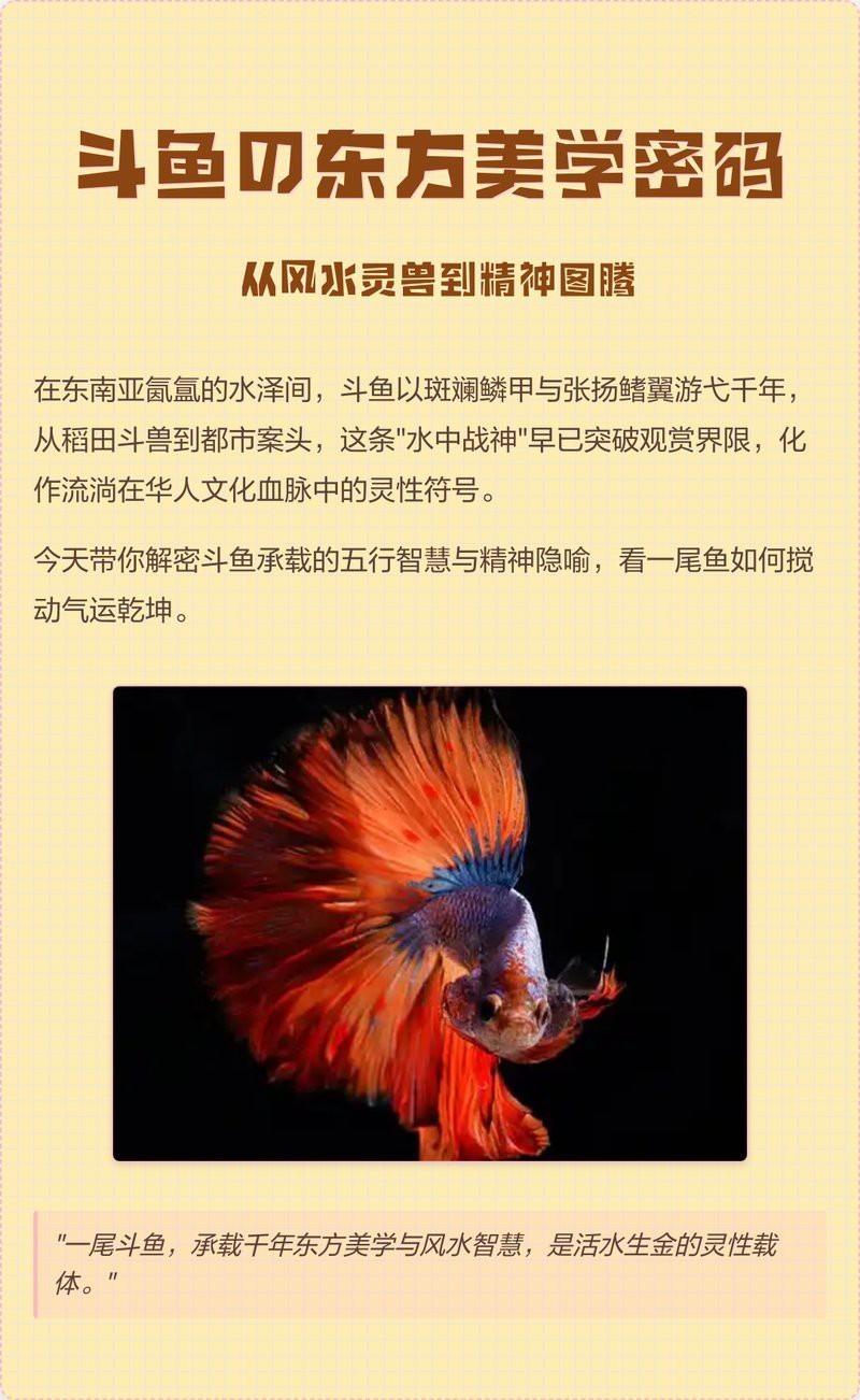斗魚最吉利的三個顏色