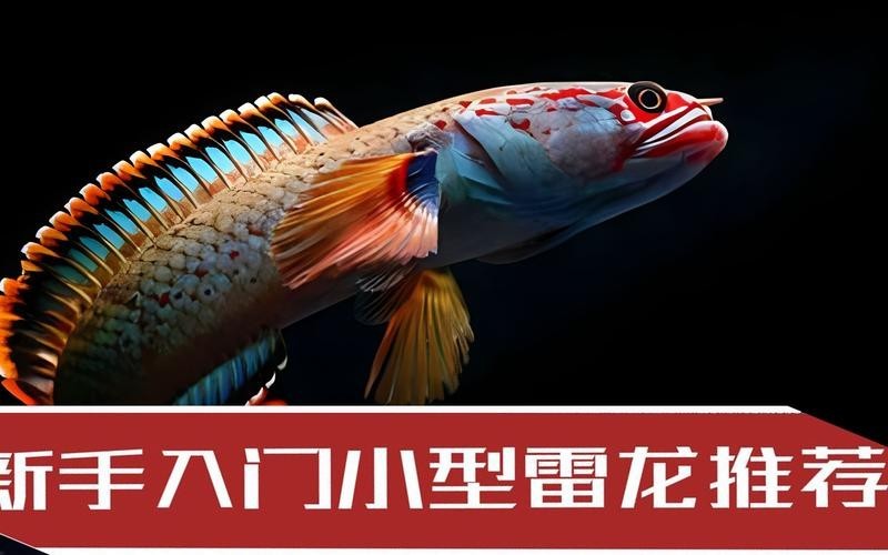 雷龍魚品種大全和圖片