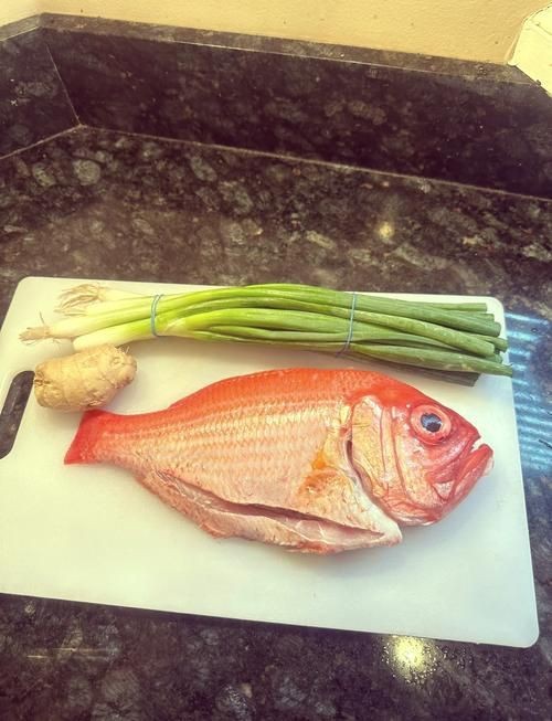 紅鯛魚圖片 紅鯛魚圖片 龍魚論壇 第3張