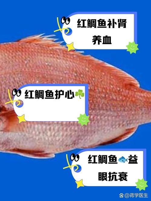 紅鯛魚圖片 紅鯛魚圖片 龍魚論壇 第18張