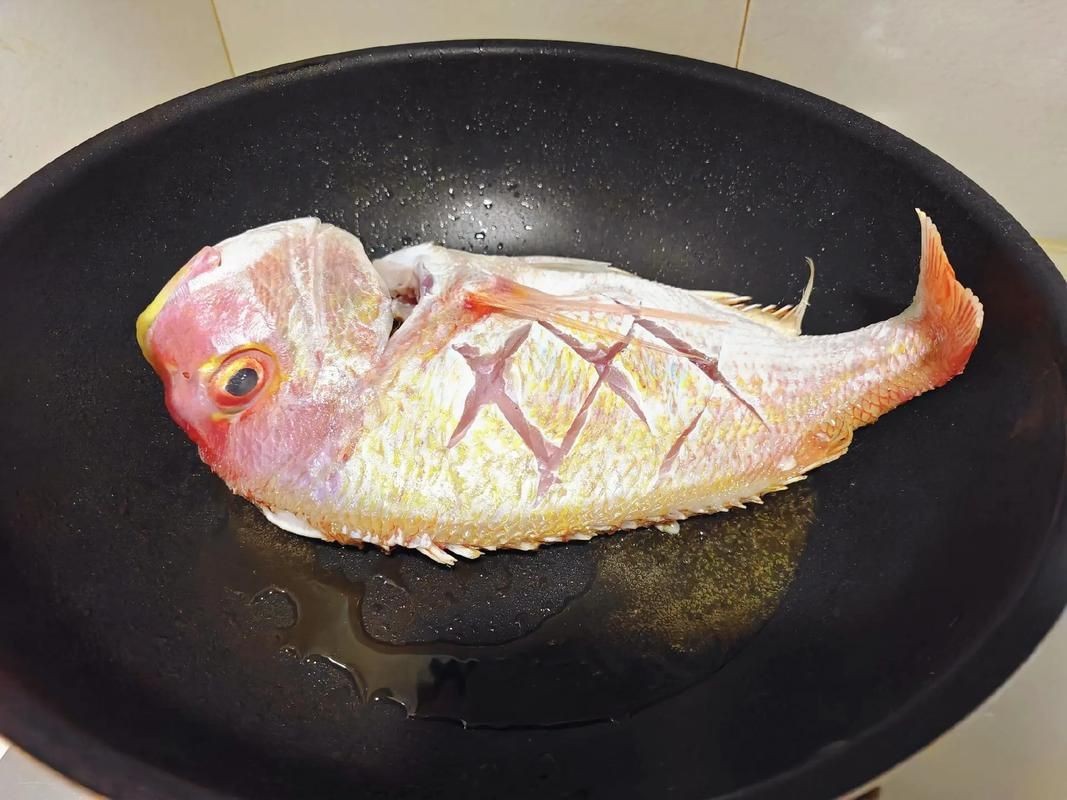 紅鯛魚圖片 紅鯛魚圖片 龍魚論壇 第20張