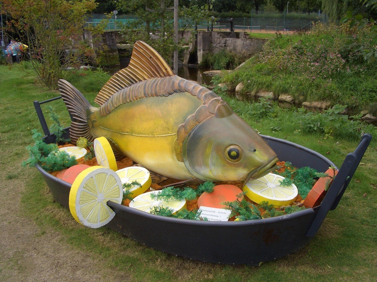 鯽魚的最好三個品種