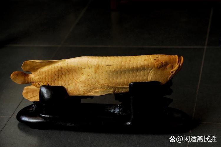 各種形態(tài)木雕魚(yú)圖片