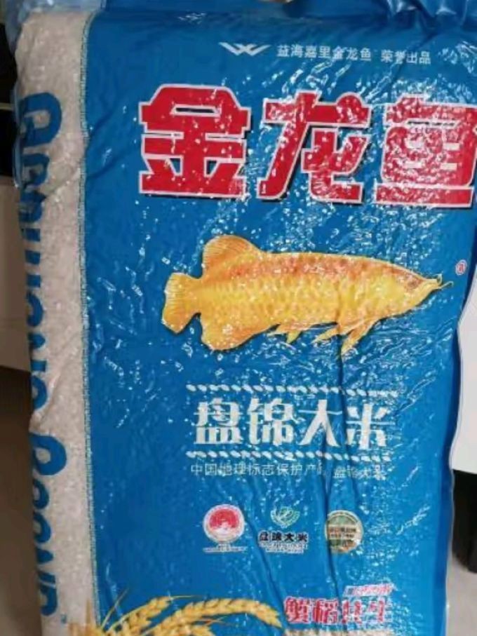 銀龍魚掉眼是什么意思 （銀龍魚掉眼是什么意思啊）