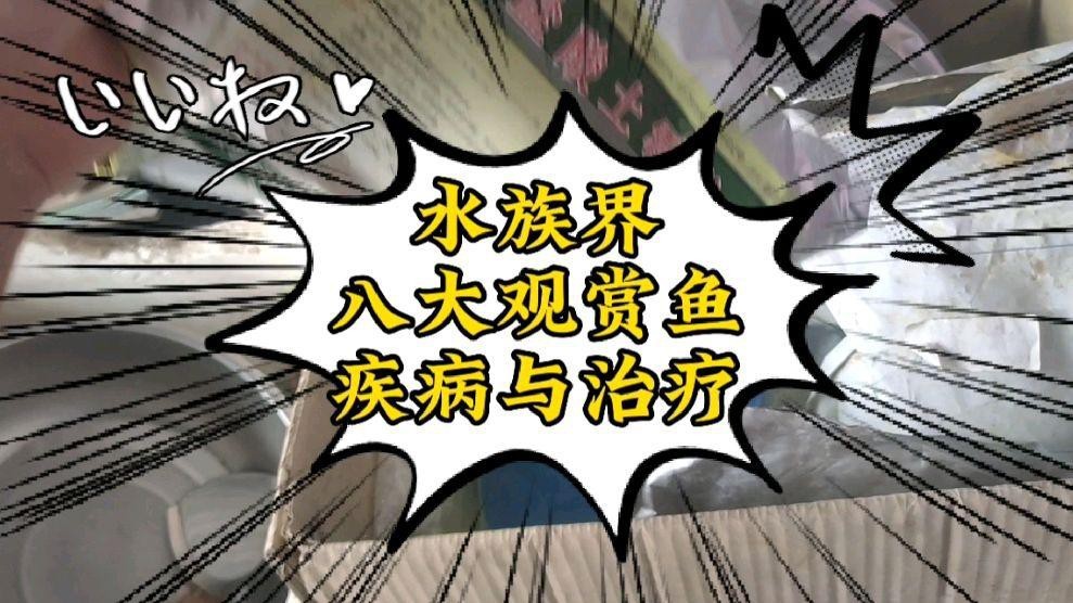 過背金龍常見疾病的治療方法