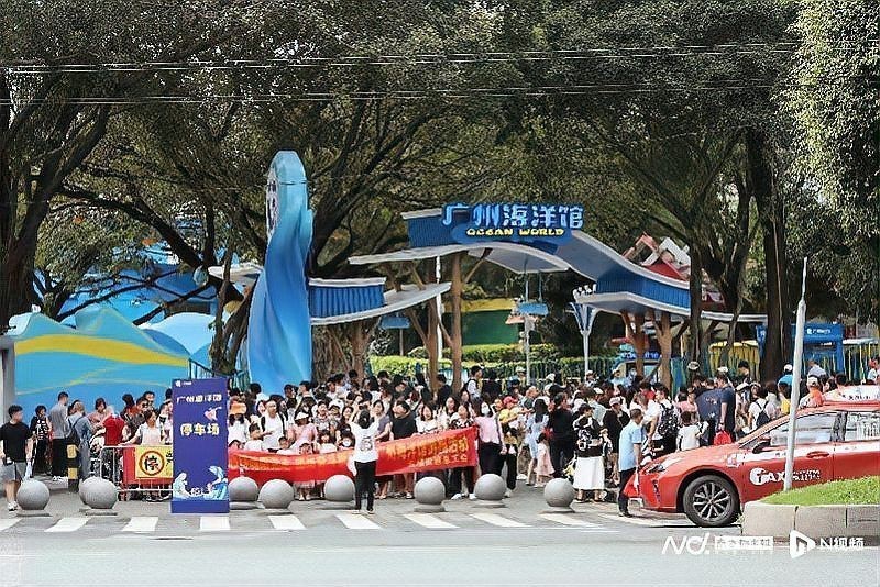 廣州哪個海洋館比較好