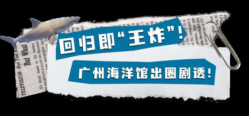 廣州哪個海洋館比較好