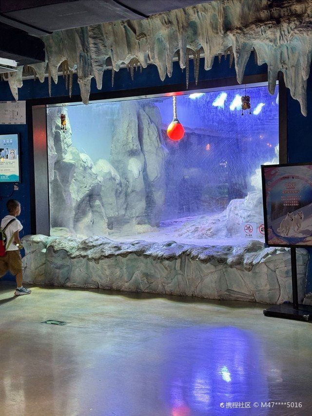 廣州哪個海洋館比較好