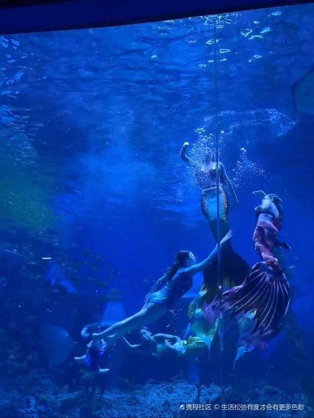 廣州哪個海洋館比較好