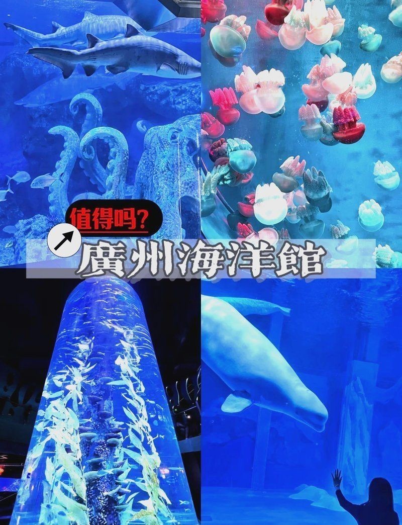 廣州哪個海洋館比較好