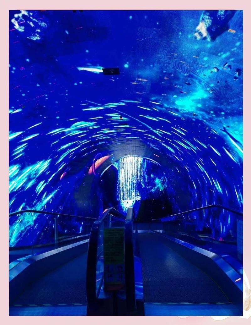 廣州哪個海洋館比較好