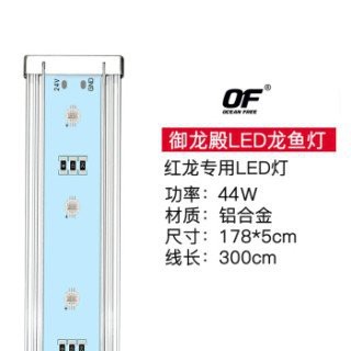 紅龍燈需要多大功率