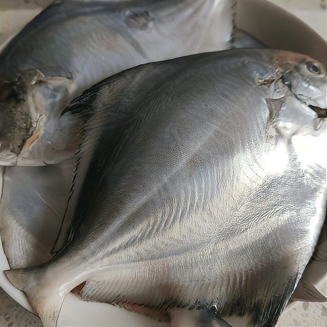 紅尾平克魚最簡單三個步驟