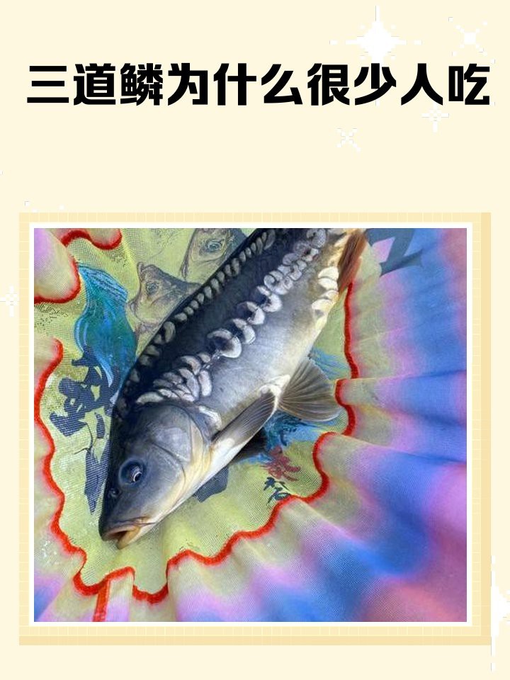 三道鱗為什么很少人吃