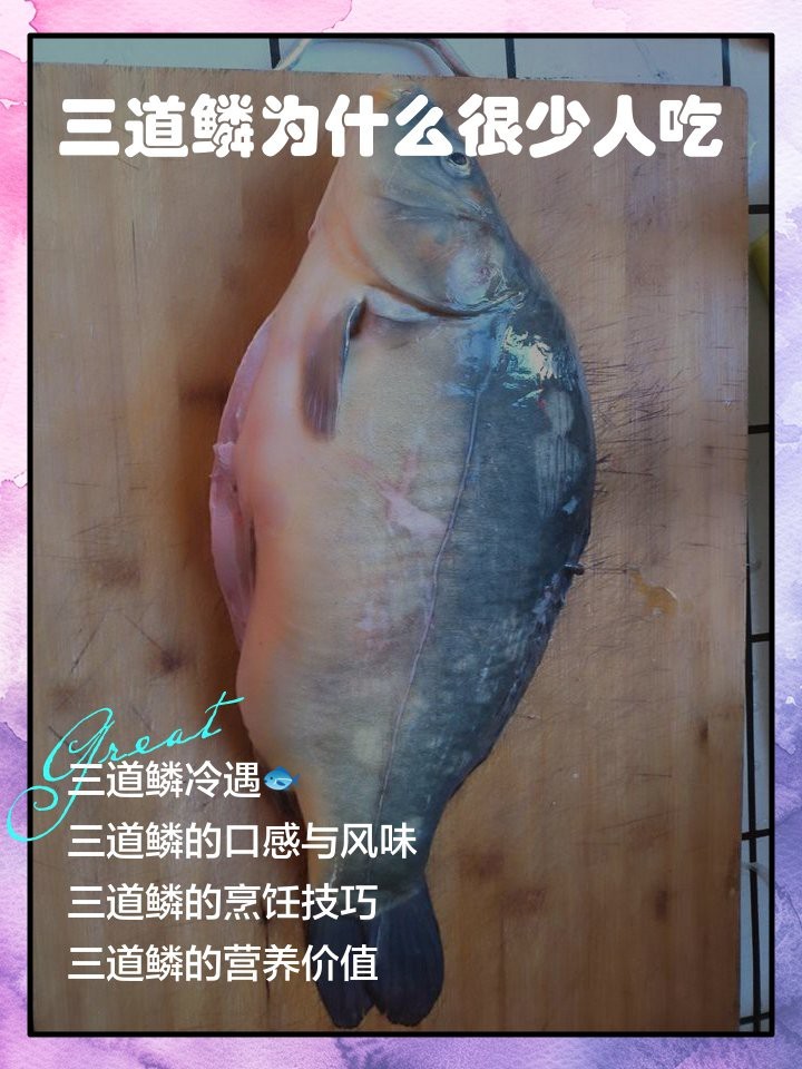 三道鱗為什么很少人吃