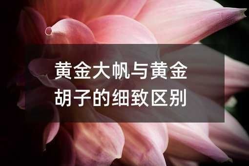 胡子魚和大帆有啥區(qū)別