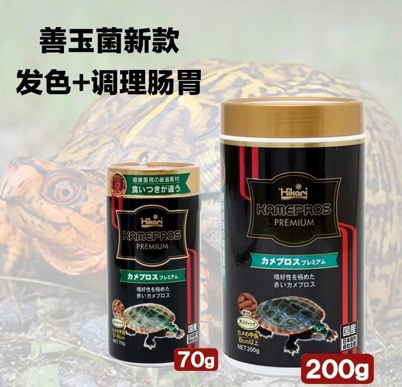 紅龍發色期間喂什么
