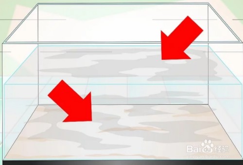 <strong><mark>夏津</mark></strong>縣鑫森水族館（<strong><mark>夏津</mark></strong>縣鑫森水族館電話）