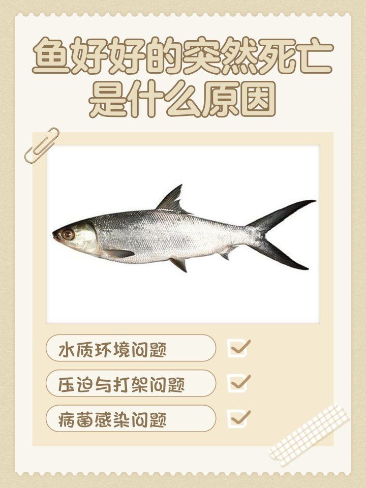 狗頭魚死亡前兆