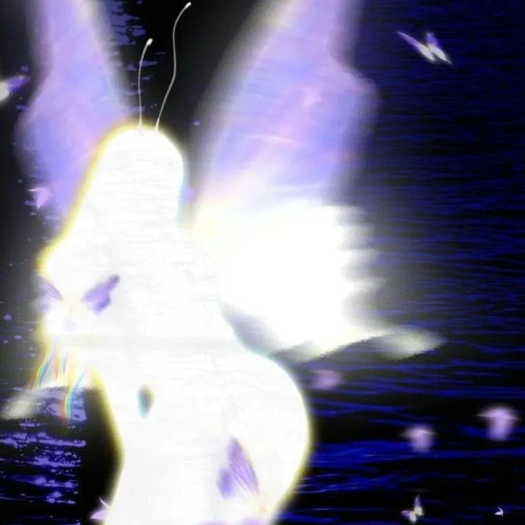 魟魚換水正確方法