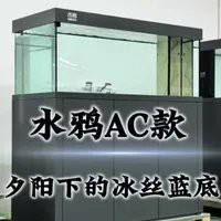 水鴉魚缸為什么那么貴