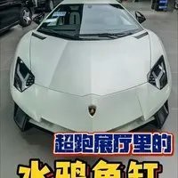 水鴉魚缸為什么那么貴