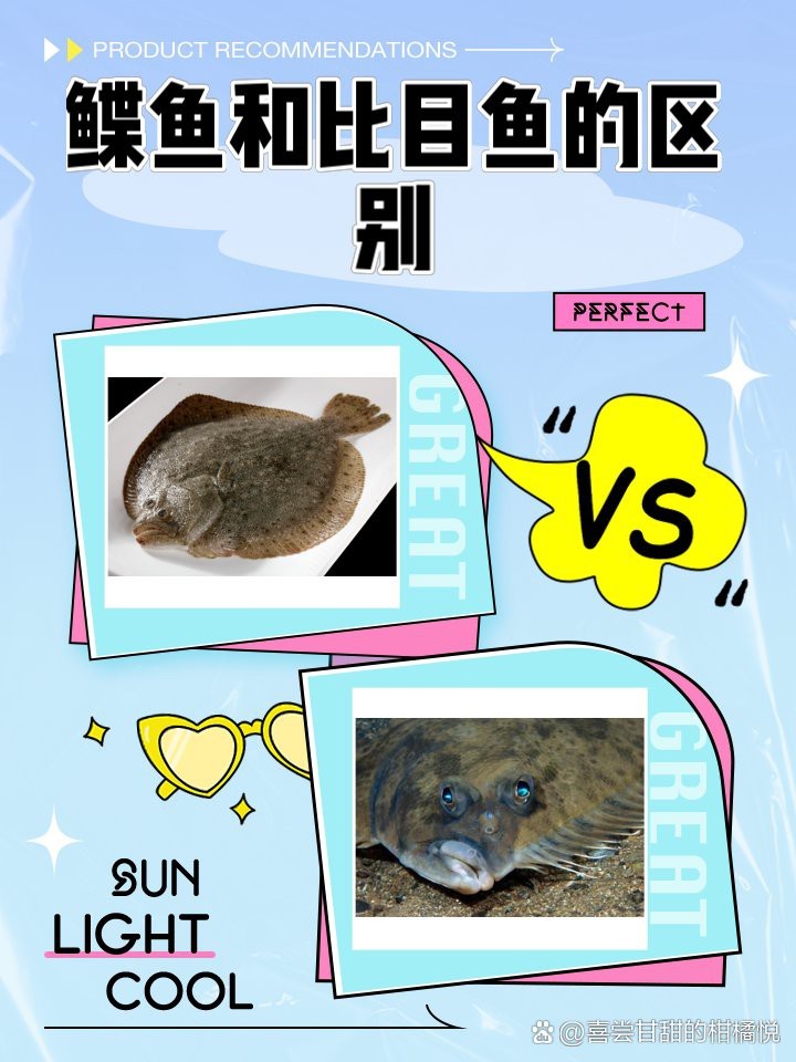 鰈魚是比目魚嗎