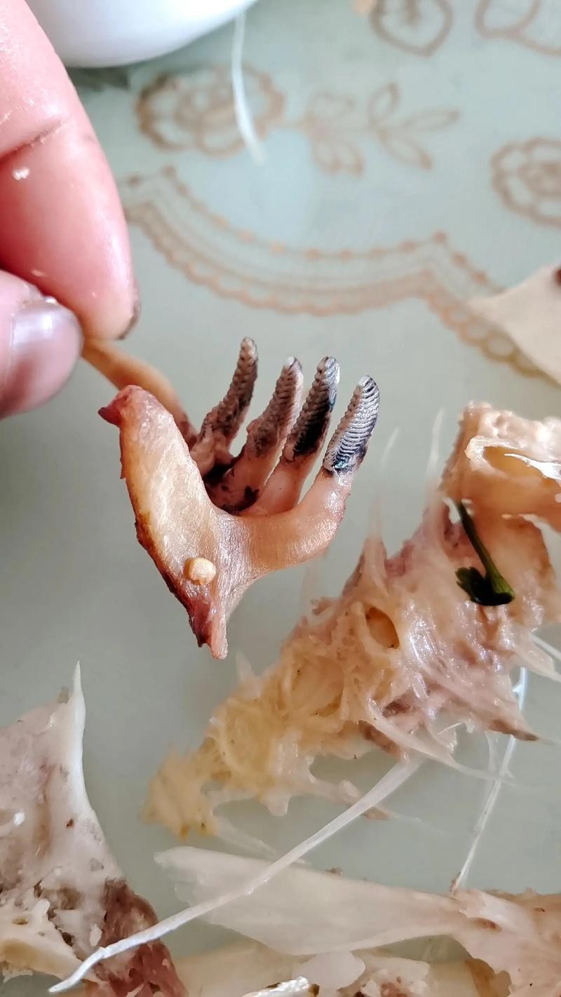 刀魚的牙齒圖片