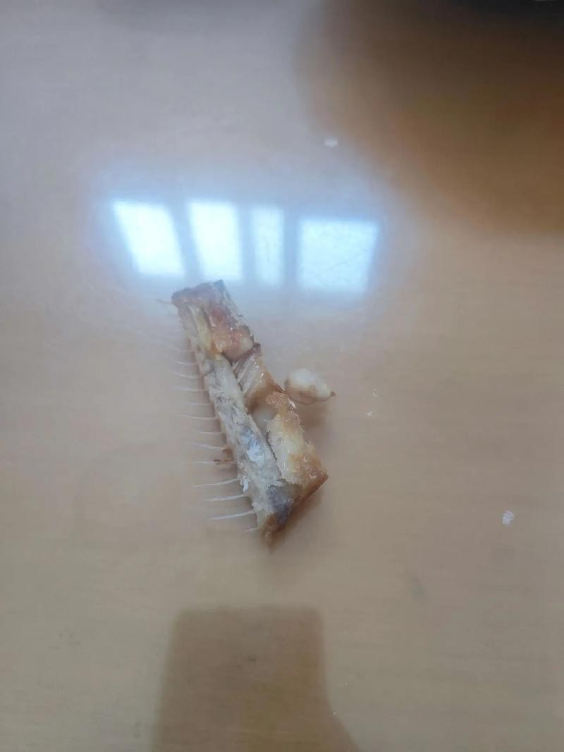 刀魚的牙齒圖片