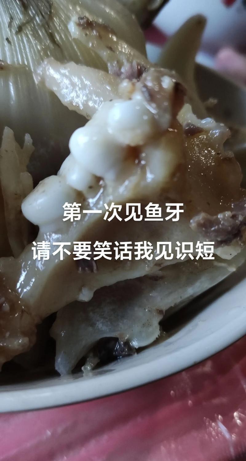 刀魚的牙齒圖片