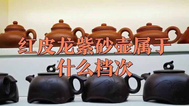 紅皮龍屬于什么檔次