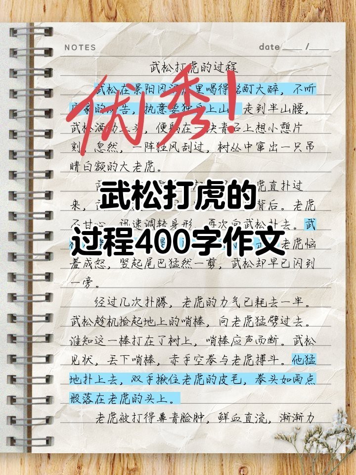 殺老虎視頻全過程屠宰場