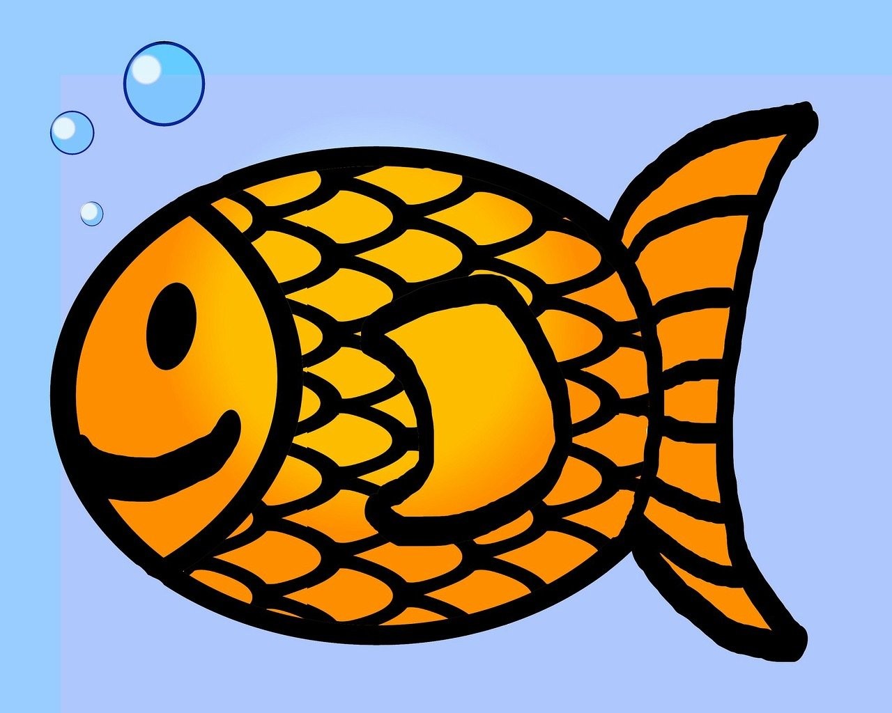 如何區分龍魚的白點病與其他疾病？