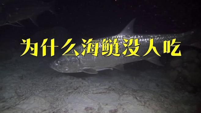 海鰱魚盡量少吃的原因
