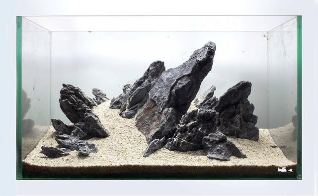 沙市區(qū)鑫源水族館
