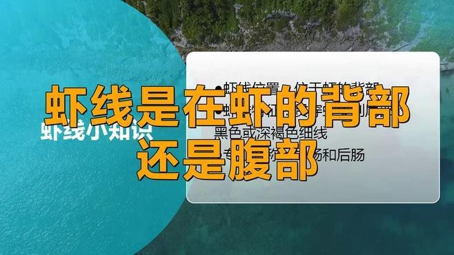 如何處理紅龍蝦的蝦線？