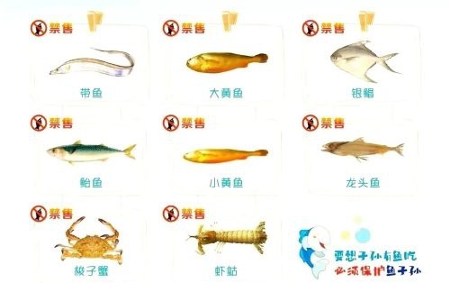 什么魚國家禁止食用