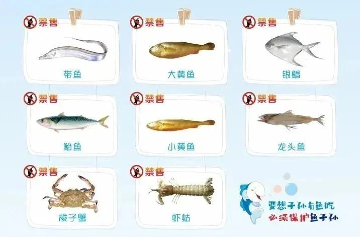 什么魚國家禁止食用