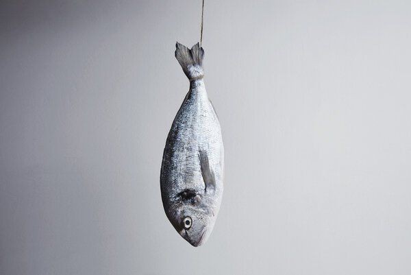 虎魚死了能吃嗎