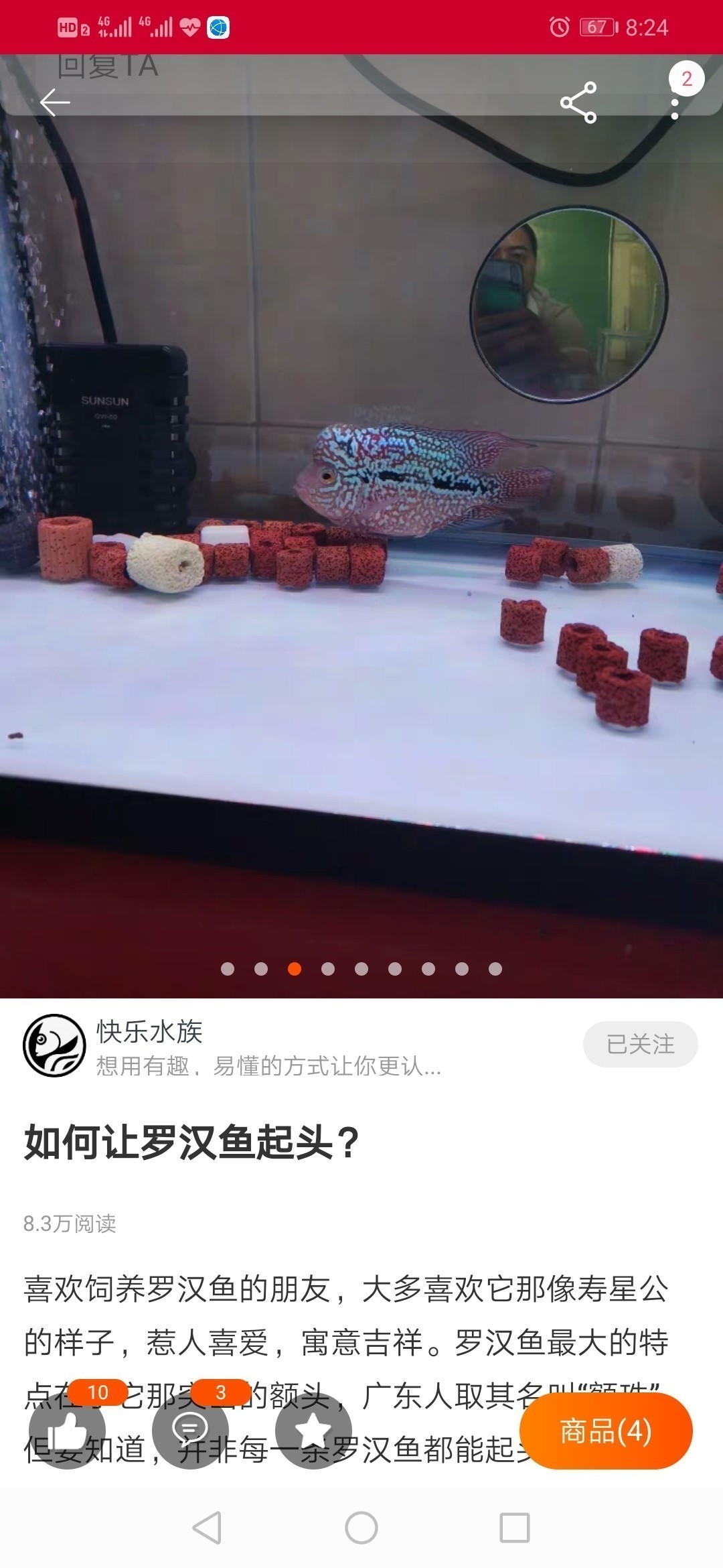 金龍魚市場價多少錢